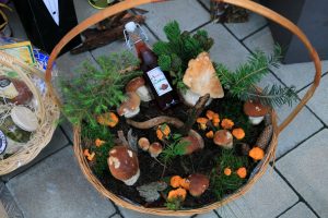 pilze